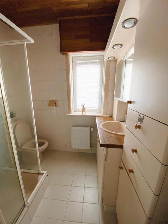 Big Sunset 2 Bedroom House With A Garden Antwerpen Exterior foto